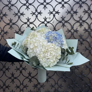 Buchet cu hortensii albe si albastre