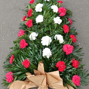 Jerba cu garoafe albe si rosii